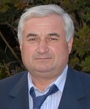 Babini Domenico Silverio