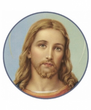 FERNANDO ROMAGNOLI