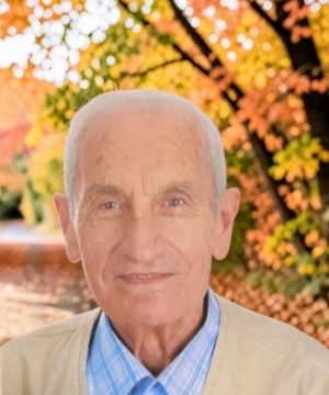 GIULIO PROVERBIO