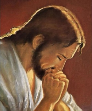 ROMOLO LUCIANO