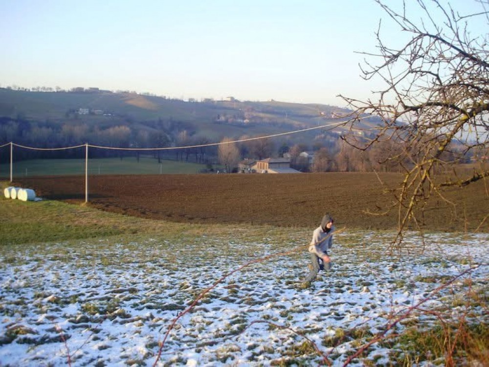 - inviata da Daniela Vendrame