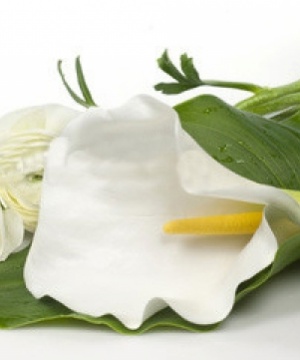 FLAVIANA MELONCELLI