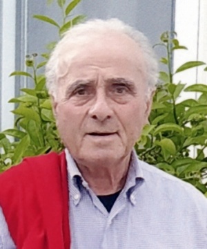 ALBERTO MAGNANI