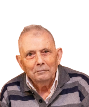 Domenico SORACE