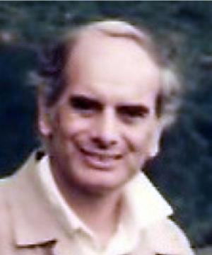 Ing. RINALDO BLASI