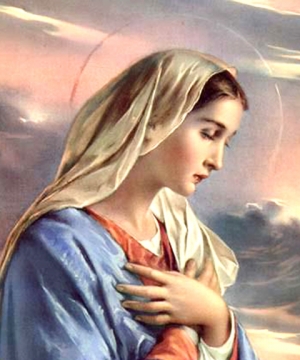 Eleonora Bin Gasparetto