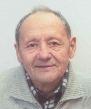 Luigi Gino Zanette