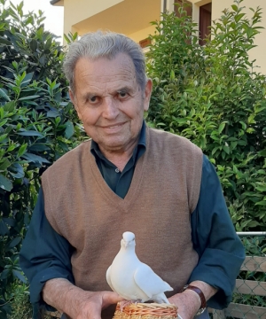 DINO BERGAMASCHI