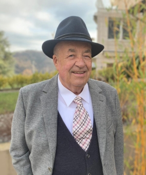 Dino Belluzzo