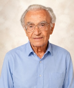 Vincenzo Addesi