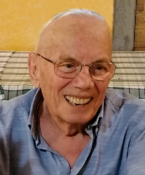 DOMENICO CARPINETI