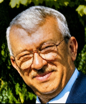 DOMENICO DELLA PICCA