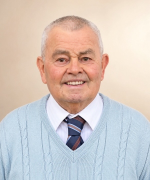 Roberto Bolfe