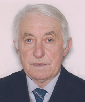 Berto Visani