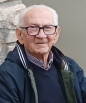 Giovanni Di Domizio