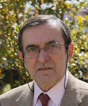 Francesco Guarise