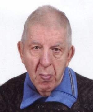 Vittorio Fregonas