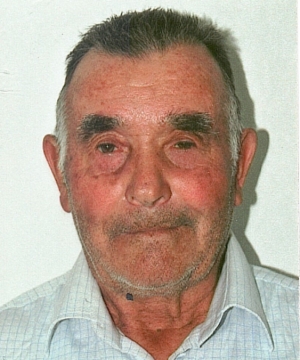 Vincenzo Ferraiolo