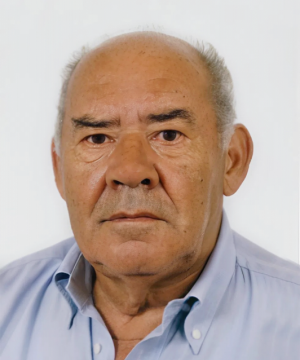 GINO TORCOLACCI