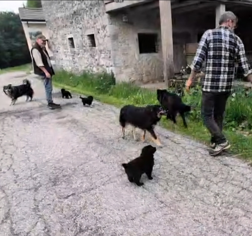 - inviata da Stefano Piovan