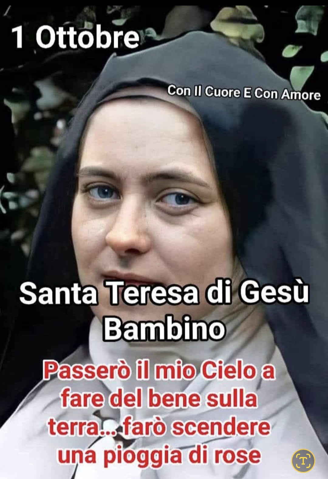 - inviata da
