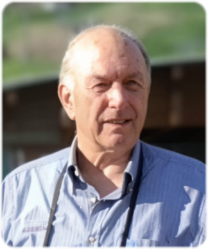 ALVIO ROSA GASTALDO