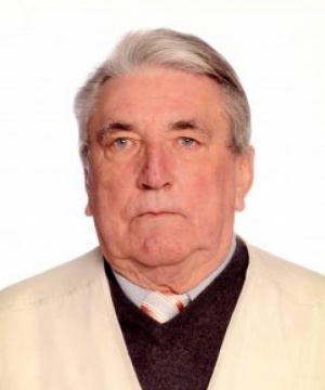 Virgilio Bravin