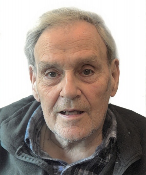 Dino Bittarelli