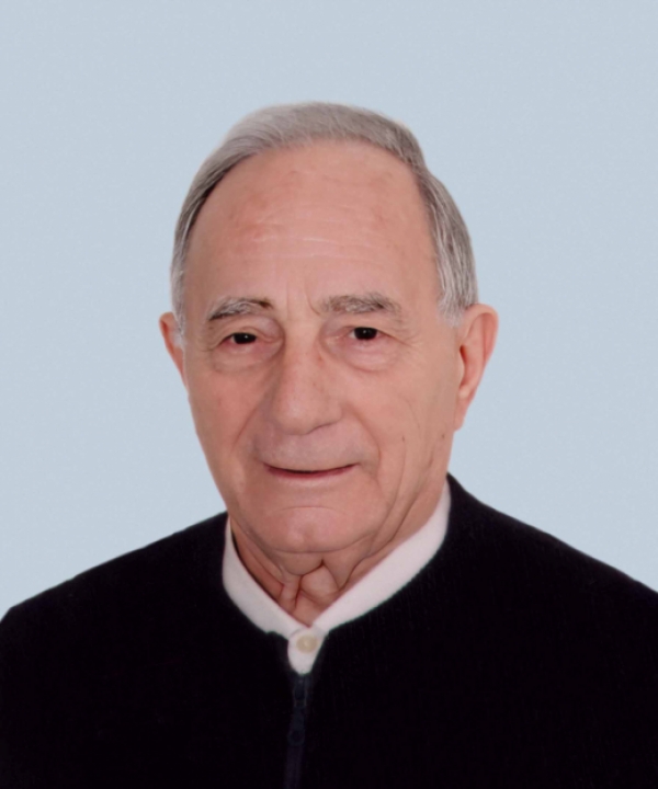 Ermenegildo Castellanza