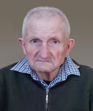 Giovanni Sartori