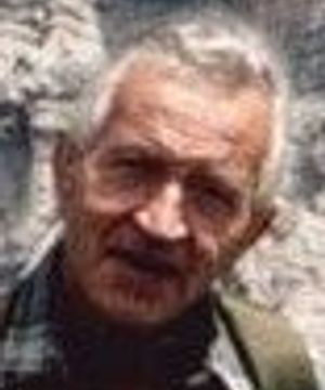 Luigi Triches