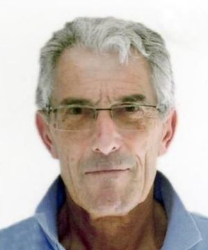 Mario Collarin