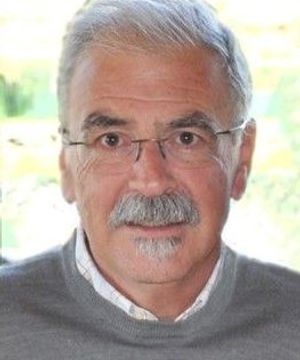 Giorgio Ferigo