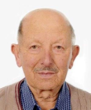Settimo Tiziani