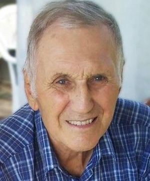 Arnaldo Feltrin