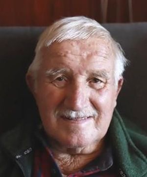 Luigi Da Riz