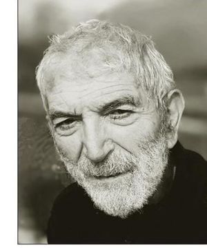 Andrea Zambelli