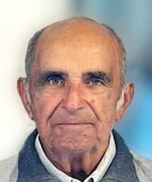 Egidio Caldart