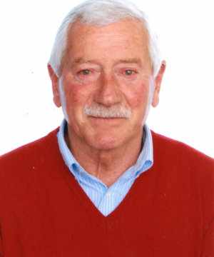 Luigi Bollati