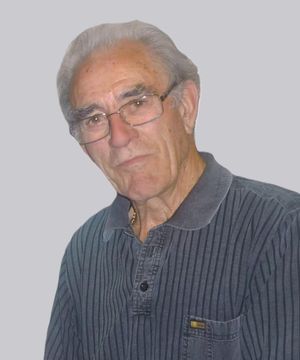 Giuliano Amadori