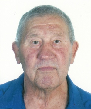 VINICIO BRICHESE