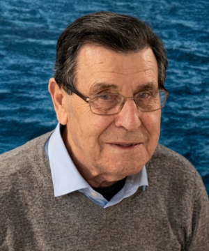 Adolfo Villani