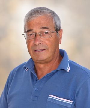 MARIO STOCCUTO