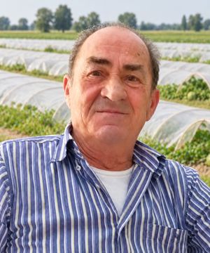 ERMES PONTIROLI