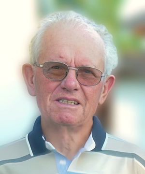 Vinicio Viliam Mazzega