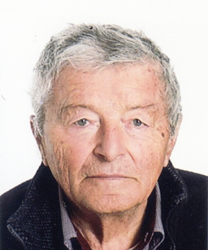 DINO DOMENICO CASTELLANI