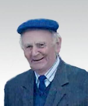 Mauro Pozzetti