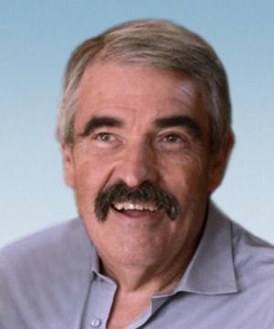 ANDREA PREVEDELLO