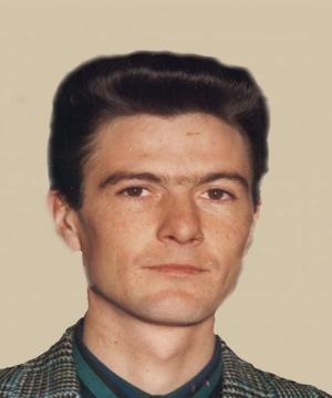RAFFAELE VIOLA