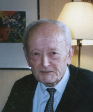 DOMENICO STIVELLA